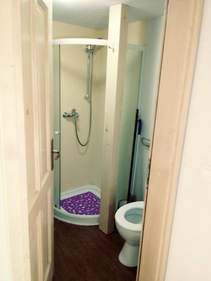 Apartma Hiska Korosec Бохин Екстериор снимка